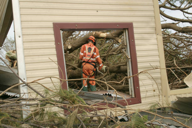 How Our Tree Care Process Works  in  Winterset, IA